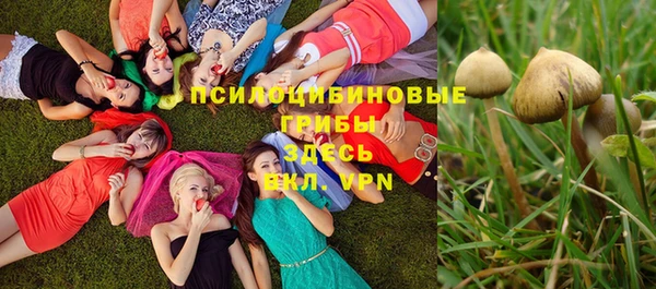 амф Алексин
