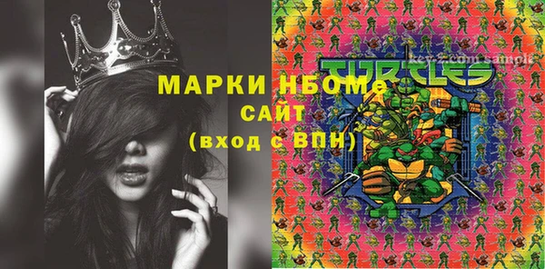 шишки Алзамай