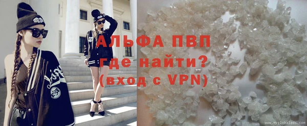 шишки Алзамай