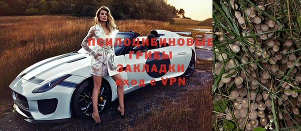 шишки Алзамай